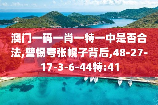 澳门一码一肖一特一中是否合法,警惕夸张幌子背后,48-27-17-3-6-44特:41