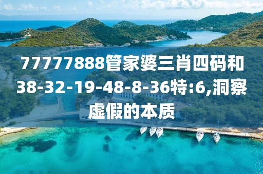 77777888管家婆三肖四码和38-32-19-48-8-36特:6,洞察虚假的本质